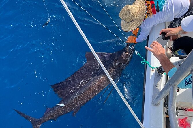 Half Day Private Sport Fishing on Charanga Boat - Key Points