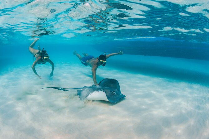 Half-Day Private Stingray City Charter - Grand Cayman - BTC - Customer Reviews