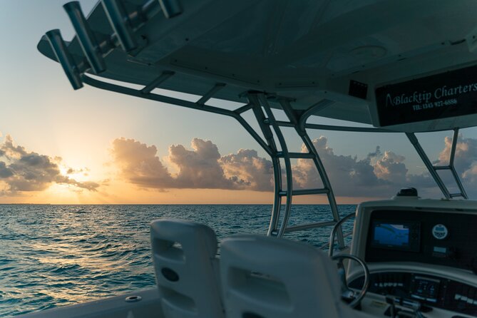 Half-Day Private Stingray City Charter - Grand Cayman - BTC - Exploring Stingray City