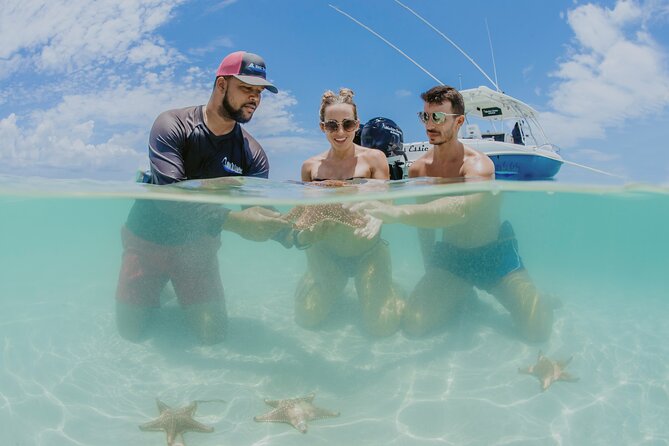 Half-Day Private Stingray City Charter - Grand Cayman - BTC - Cayman Islands Scenery and Beauty