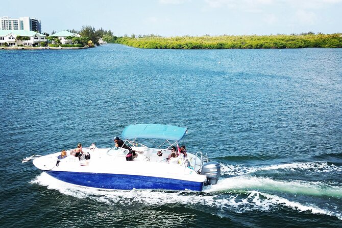 Half-Day Private Stingray City Charter in Cayman Islands - Guest Feedback