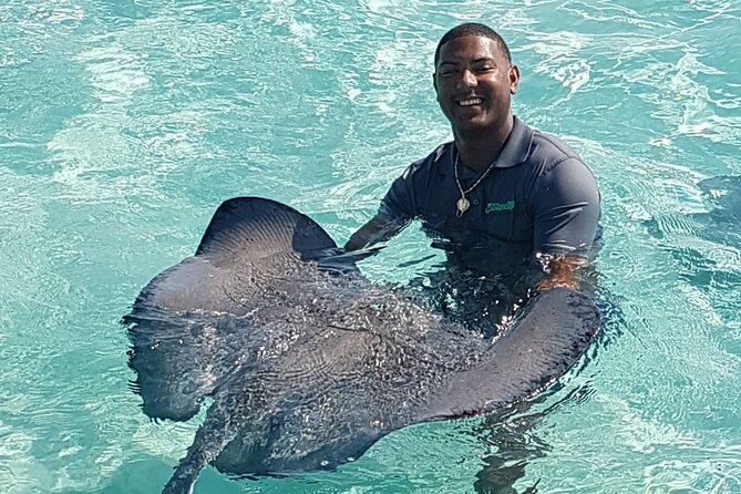 Half-Day Private Stingray City Charter in Cayman Islands - Suitability and Participation