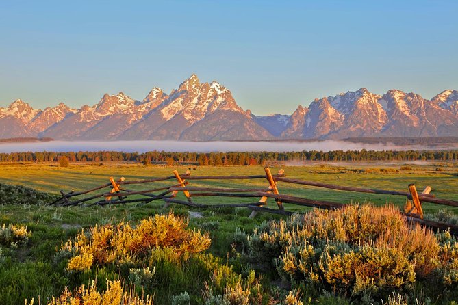 Half Day Private Sunrise Wildlife Safari - Additional Details