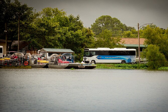 Half Day Private Swamp Experience in Louisiana - What to Expect on the Tour