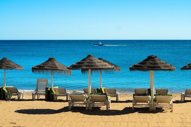 Half-Day Private Taxi Tour to Malaga Historic Center - Pickup and Meeting Information