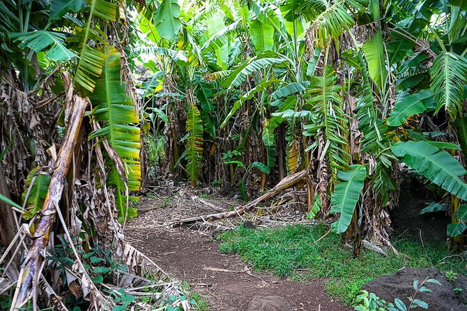 Half Day Private Tour: Caves and Volcanic Refuges - Volcanic Refuges