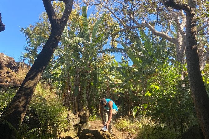 Half Day Private Tour: Caves and Volcanic Refuges - Practical Information
