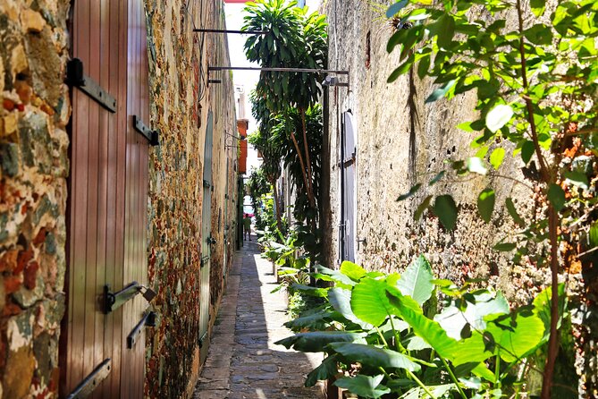 Half Day Private Tour in Fort Charlotte and Queens Drive - Exploring Fort Charlotte