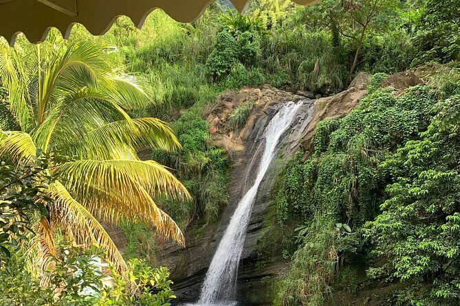Half Day Private Tour in Grenada - The Full Experience: What to Expect