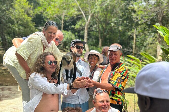 Half Day Private Tour in Grenada - Who Will Love This Tour?