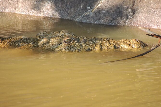 Half Day Private Tour in Isimangaliso Wetland Park - Pickup and Start Time