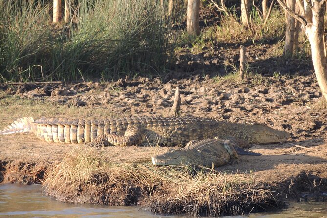 Half Day Private Tour in Isimangaliso Wetland Park - Wildlife Sightings