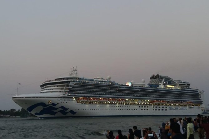Half-Day Private Tour in Kochi for Cruise Ships - Taking in Kochis Multicultural Heritage