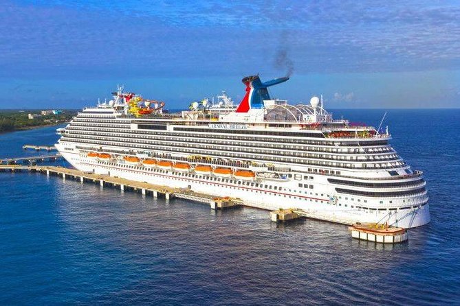 Half-Day Private Tour in Kochi for Cruise Ships - Savoring Kochis Vibrant Local Culture