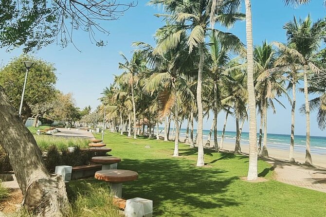 Half-Day Private Tour in Muscat City Oman - Highlights of the Tour