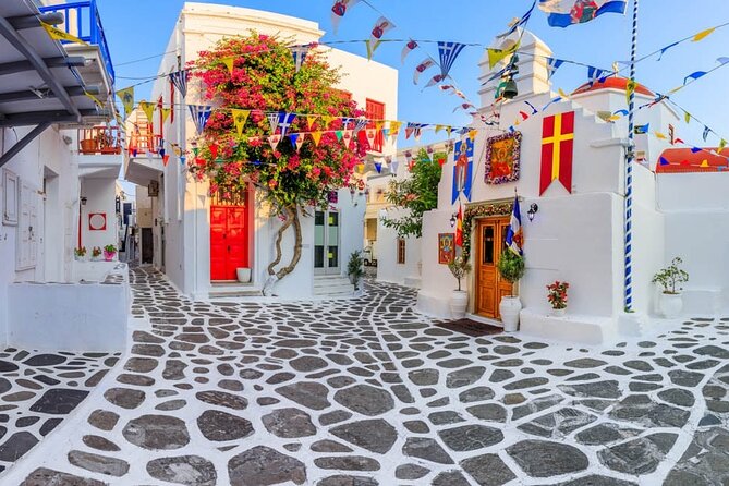 Half Day Private Tour in Mykonos Island - Meeting and Pickup Information