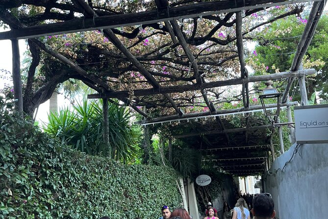 Half Day Private Tour in Positano - Pickup Information