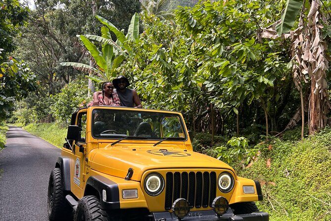 Half Day Private Tour in St. Lucia Jeep Wrangler - A Personal, Private Way to Explore Saint Lucia