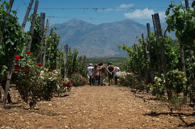 Half-Day Private Tour in Two Wineries and Archanes From Heraklion - Cancellation and Booking Information
