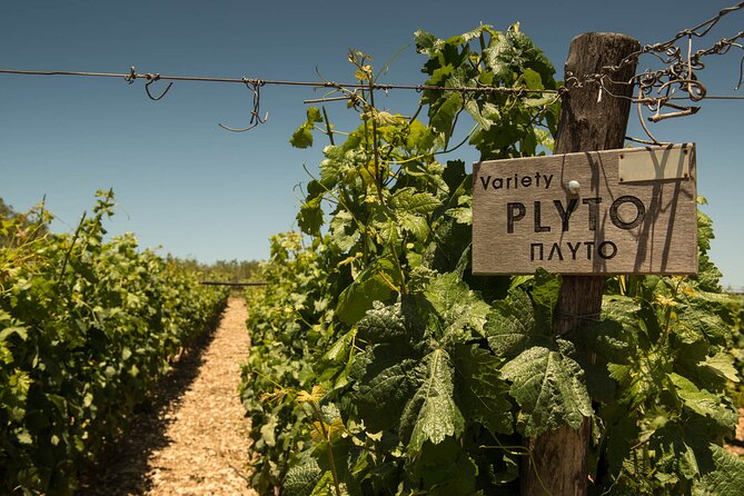 Half-Day Private Tour in Two Wineries and Archanes From Heraklion - Reviews and Ratings