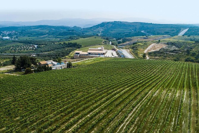 Half-Day Private Tour in Two Wineries and Archanes From Heraklion - Recap