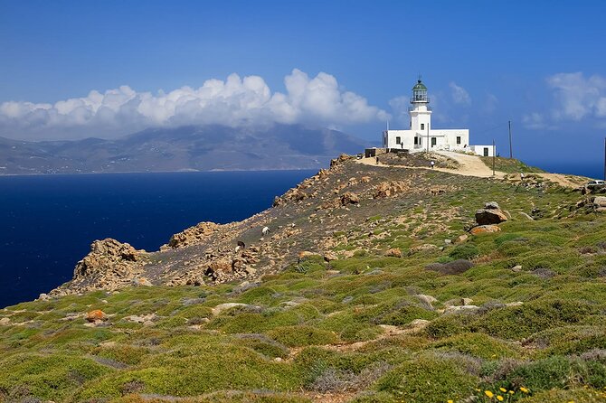 Half Day Private Tour Island With a Local in Mykonos - Exploring Local Taverns