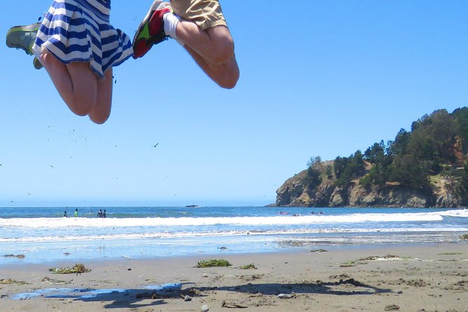 Half-Day Private Tour of Alcatraz , Muir Woods & Sausalito - Meeting and Pickup Details