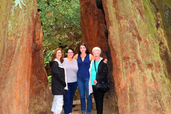 Half-Day Private Tour of Alcatraz , Muir Woods & Sausalito - Experience Alcatraz