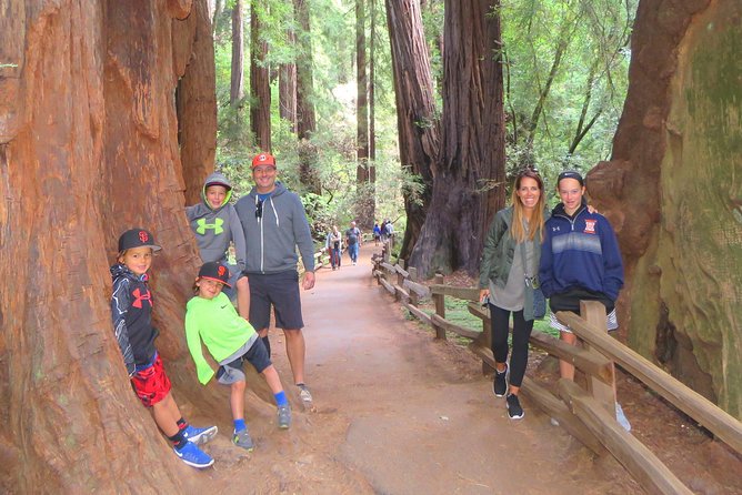 Half-Day Private Tour of Alcatraz , Muir Woods & Sausalito - Discover Muir Woods