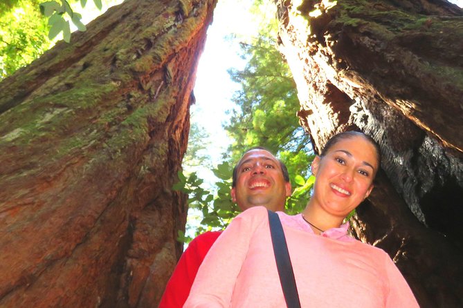 Half-Day Private Tour of Alcatraz , Muir Woods & Sausalito - Explore Sausalito