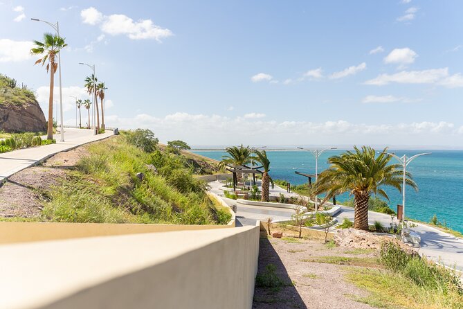 Half Day Private Tour of the Beaches of La Paz - Recommendations for Travelers