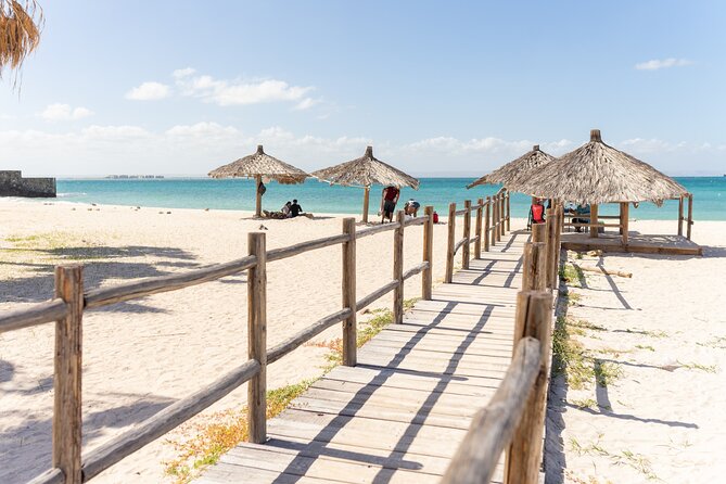 Half Day Private Tour of the Beaches of La Paz - Communication From Tour Operators