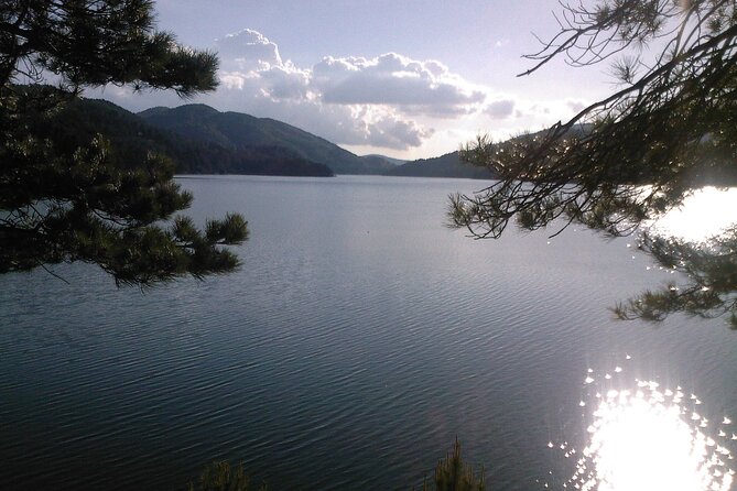 Half Day Private Tour of the Sila National Park - Key Points