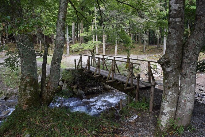 Half Day Private Tour of the Sila National Park - Inclusions