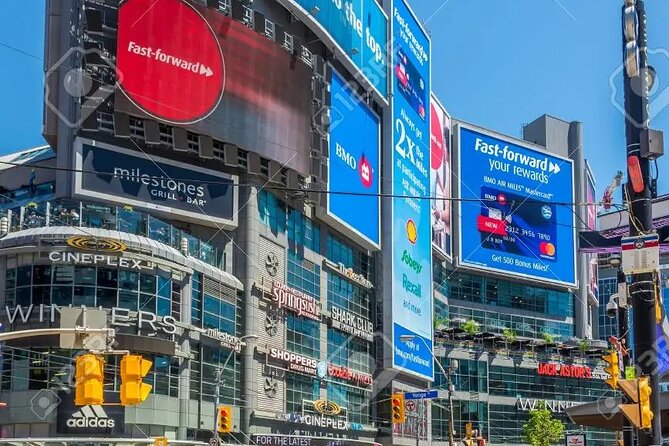 Half-Day Private Tour of Toronto With Pick up - Exploring the CN Tower