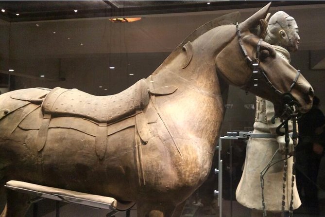Half-Day Private Tour of Xian Terracotta Warriors and Horses Museum - Inclusions