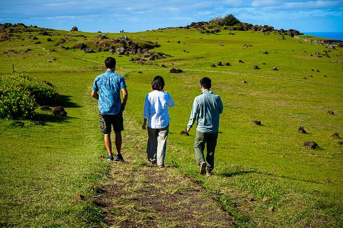 Half Day Private Tour: Rano Kau and Orongo the City of Kings - Inclusions and Accessibility