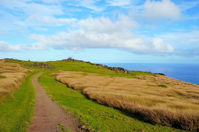 Half Day Private Tour: Rano Kau and Orongo the City of Kings - Meeting and Pickup Details