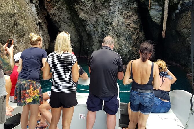 Half Day Private Tour South Martinique (Coral Beds & Turtles) - Tour Overview