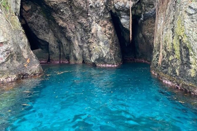 Half Day Private Tour South Martinique (Coral Beds & Turtles) - Booking and Cancellation