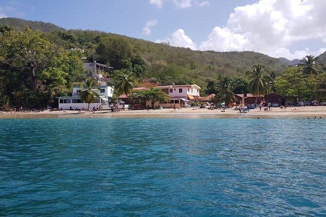 Half Day Private Tour South Martinique (Coral Beds & Turtles) - Turtle Watching Opportunity