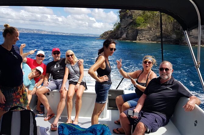 Half Day Private Tour South Martinique (Coral Beds & Turtles) - Tour Overview