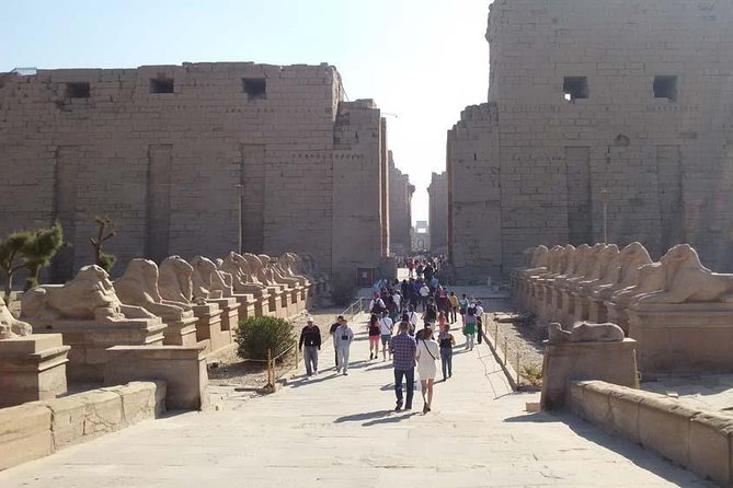 Half-Day Private Tour to Karnak & Luxor Temples From Luxor - Inclusions