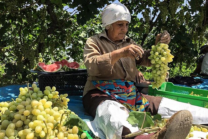 Half Day Private Tour to Khor Virap - Location and Surroundings