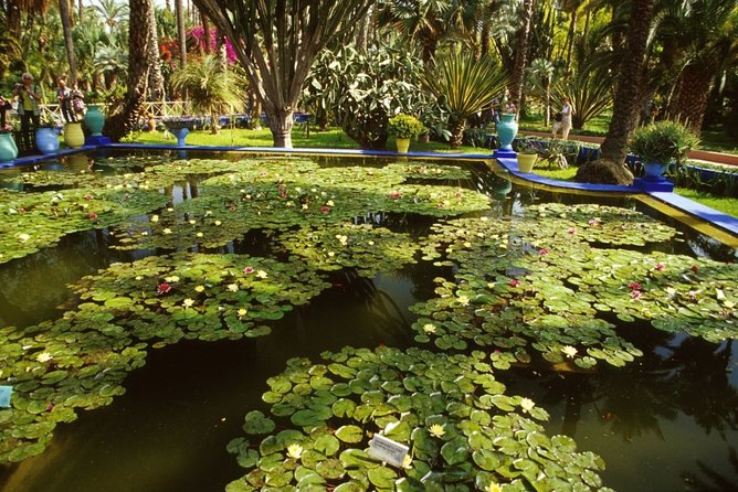 Half-Day Private Tour to Marrakech Gardens With Hotel Pickup - Operating Hours