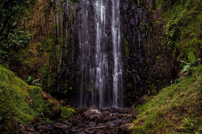 Half-Day Private Tour to Materuni Waterfalls and Coffee Excursion - Accessibility and Additional Information