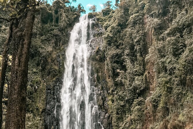 Half-Day Private Tour to Materuni Waterfalls and Coffee Excursion - Booking and Cancellation Policy