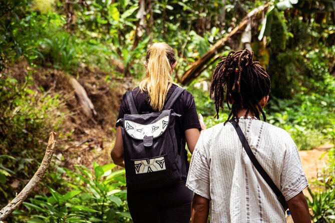 Half-Day Private Tour to Materuni Waterfalls and Coffee Excursion - Explore Materuni Waterfalls