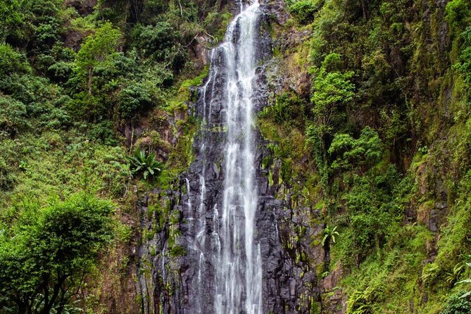 Half-Day Private Tour to Materuni Waterfalls and Coffee Excursion - Discover Coffee Excursion