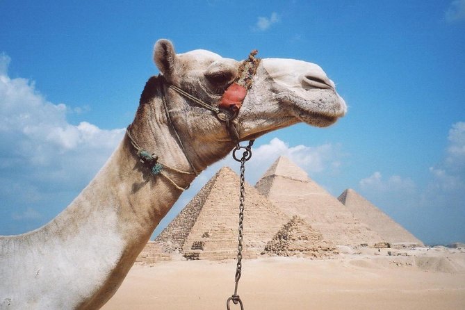 Half-Day Private Tour to Pyramids of Giza and Sphinx - Tour Accessibility